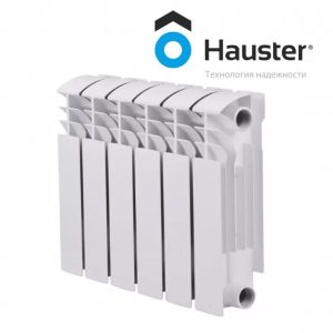 hauster-300-300x300